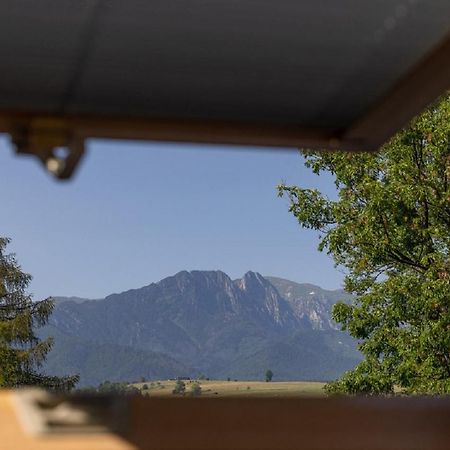 Apartamenty U Anusia Zakopane Ngoại thất bức ảnh